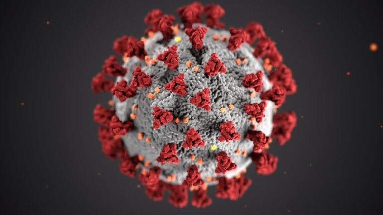 Molecular simulation of crocin and crocetin interactions with the SARS-CoV-2 spike protein