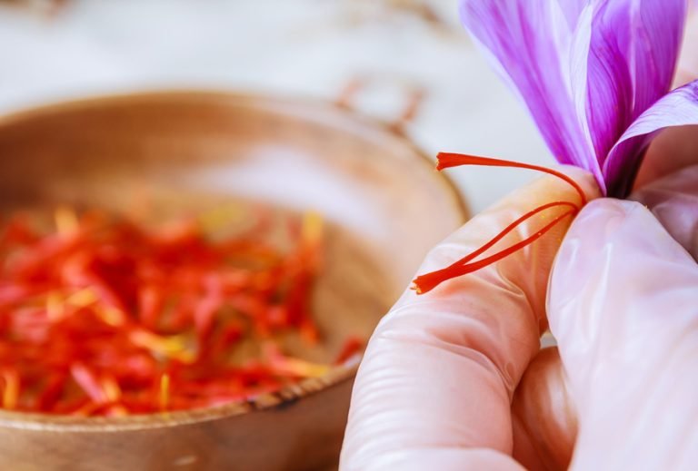 Comparison of saffron threads, saffron tea and saffron extract