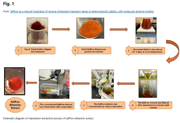 Illustration accompanying a Saffron Academy article on saffron and cholesterol