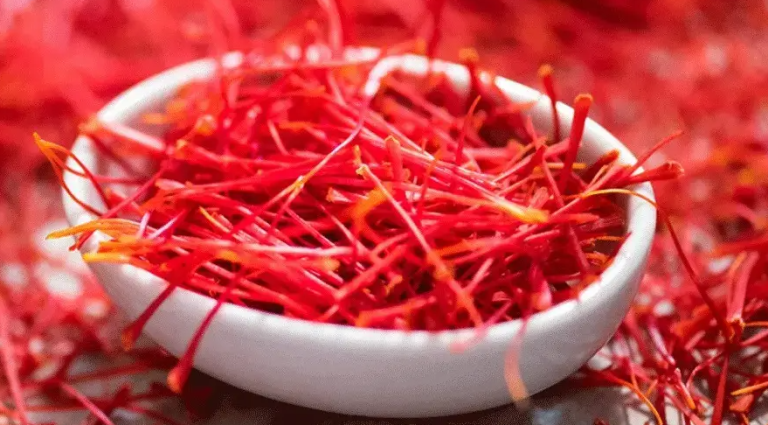 Saffrona LAAL – reine rote Safranfäden aus Herat, Afghanistan