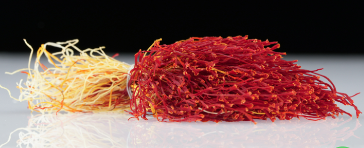 Saffrona ZARRIN – ganzer afghanischer Safranfaden in Rot und Gold
