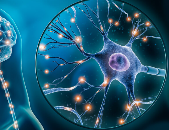 Die Wirkung von Safran auf erholsamen Schlaf und Stressabbau