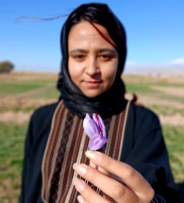 Safranmädchen Reyhaneh bei der Safranernte in Herat – afghanischer Safran der Saffron Sisters Slow-Food-Community