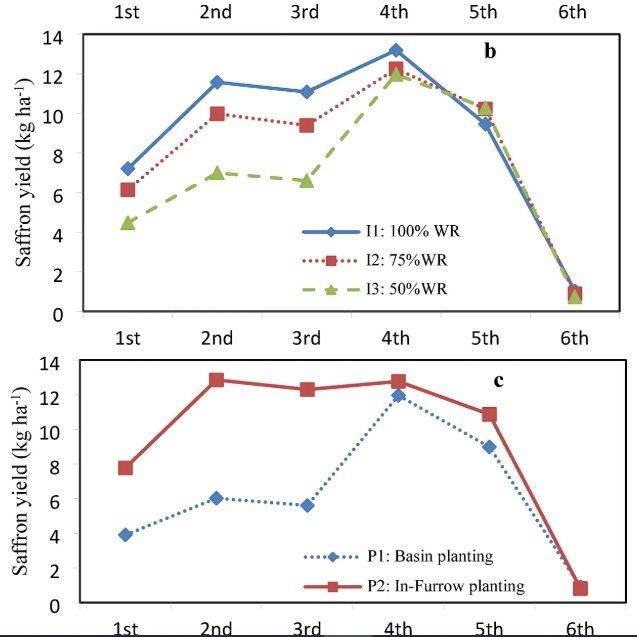 Safran Anbau unter Wasser- und Salzstress-Wissentschaftlische Articel